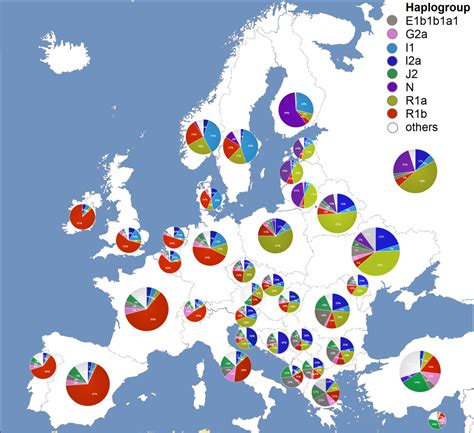 maternal haplogroup|More.